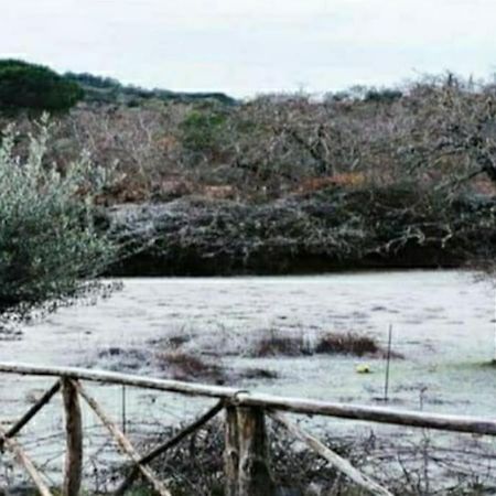 Olivae Villa Aracena Kültér fotó
