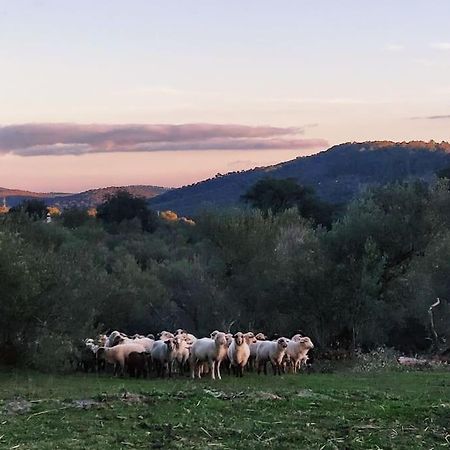 Olivae Villa Aracena Kültér fotó