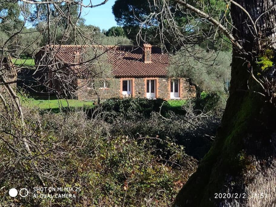 Olivae Villa Aracena Kültér fotó