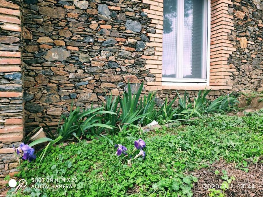 Olivae Villa Aracena Kültér fotó