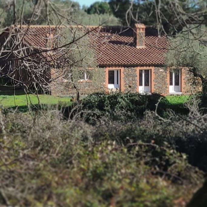 Olivae Villa Aracena Kültér fotó